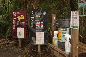 Clean your shoes before entering the kauri forest
